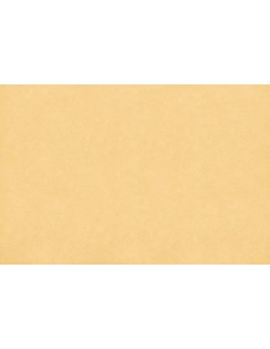 ΤΑΠΕΤΣΑΡΙΑ SALINASNEW ΣΤΟΚ Π.Χ29005