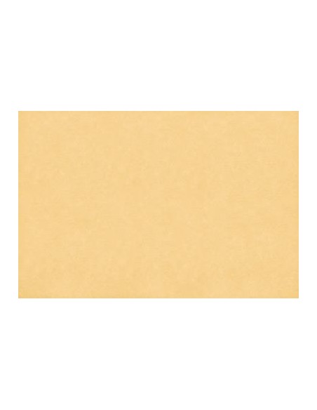 ΤΑΠΕΤΣΑΡΙΑ SALINASNEW ΣΤΟΚ Π.Χ29005