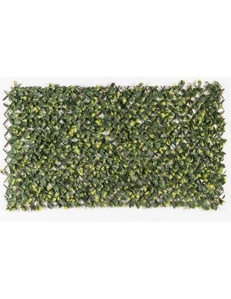 ΠΤΥΣΣΟΜΕΝΗ ΠΕΡΓΚΟΛΑ MIAMI 100 Χ 200 MZ186006A