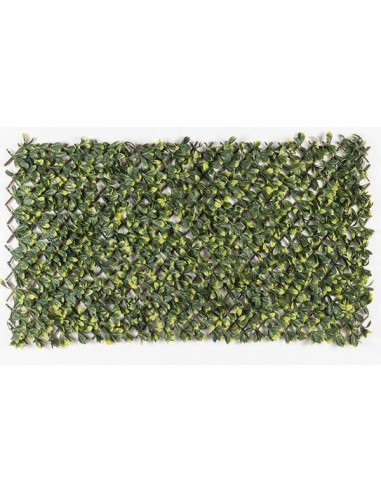 ΠΤΥΣΣΟΜΕΝΗ ΠΕΡΓΚΟΛΑ MIAMI 100 Χ 200 MZ186006A