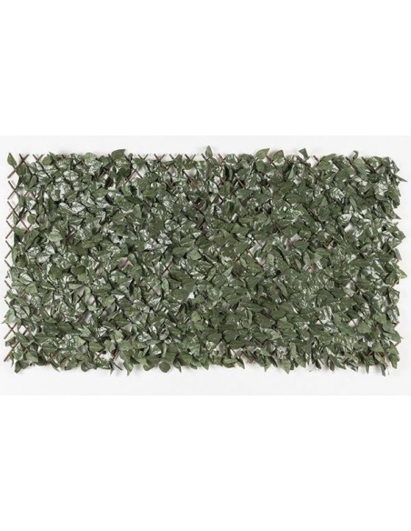 ΠΤΥΣΣΟΜΕΝΗ ΠΕΡΓΚΟΛΑ ORLANDO 100 Χ 200 MZ186001Α