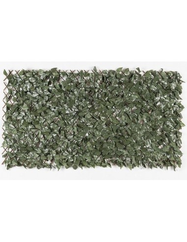 ΠΤΥΣΣΟΜΕΝΗ ΠΕΡΓΚΟΛΑ ORLANDO 100 Χ 200 MZ186001Α