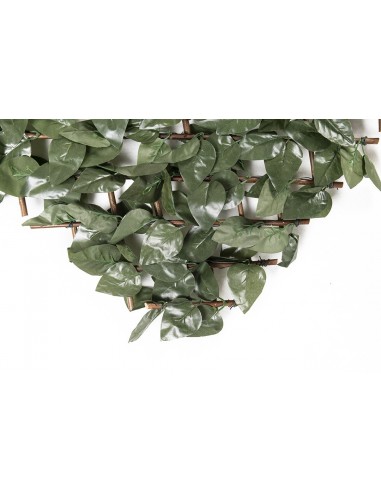 ΠΤΥΣΣΟΜΕΝΗ ΠΕΡΓΚΟΛΑ ORLANDO 100 Χ 200 MZ186001Α