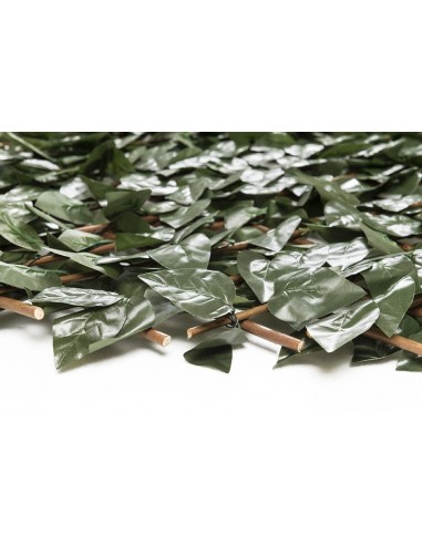 ΠΤΥΣΣΟΜΕΝΗ ΠΕΡΓΚΟΛΑ ORLANDO 100 Χ 200 MZ186001Α