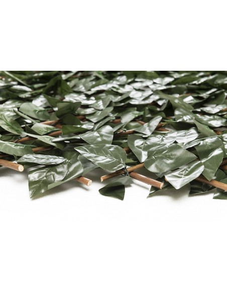 ΠΤΥΣΣΟΜΕΝΗ ΠΕΡΓΚΟΛΑ ORLANDO 100 Χ 200 MZ186001Α