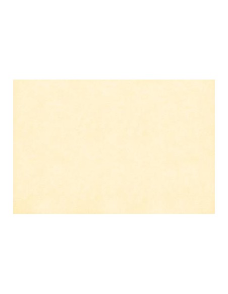 ΤΑΠΕΤΣΑΡΙΑ SALINASNEW ΣΤΟΚ Π.Χ 29004