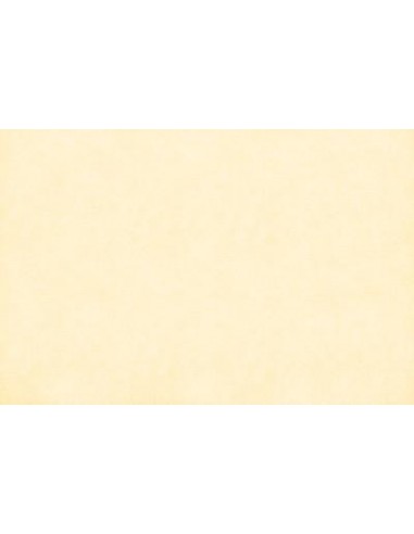 ΤΑΠΕΤΣΑΡΙΑ SALINASNEW ΣΤΟΚ Π.Χ 29004