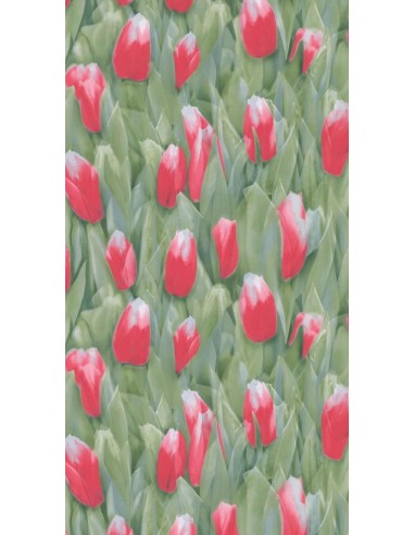 ΤΑΠΕΤΣΑΡΙΑ REALITY ΣΤΟΚ Π.Χ 51124610