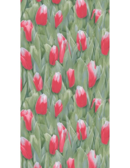 ΤΑΠΕΤΣΑΡΙΑ REALITY ΣΤΟΚ Π.Χ 51124610