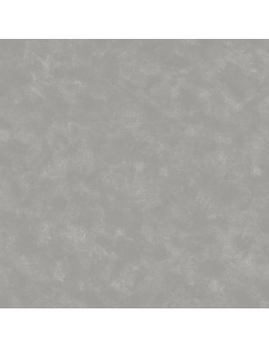 ΤΑΠΕΤΣΑΡΙΑ JET SETTER ΣΤΟΚ Π.Χ 869979