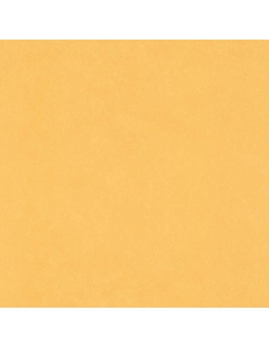 ΤΑΠΕΤΣΑΡΙΑ  LES AVENTURES ΣΤΟΚ Π.Χ 11060302