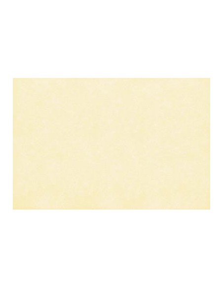 ΤΑΠΕΤΣΑΡΙΑ SALINASNEW ΣΤΟΚ Π.Χ 29001