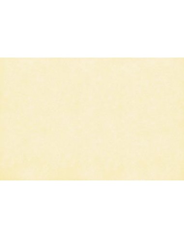 ΤΑΠΕΤΣΑΡΙΑ SALINASNEW ΣΤΟΚ Π.Χ 29001