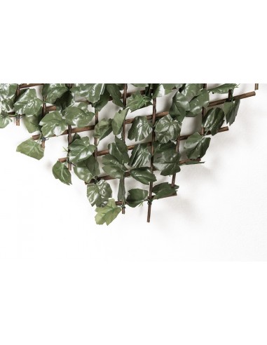 ΠΤΥΣΣΟΜΕΝΗ ΠΕΡΓΚΟΛΑ ORLANDO 100 Χ 200 MZ186002B