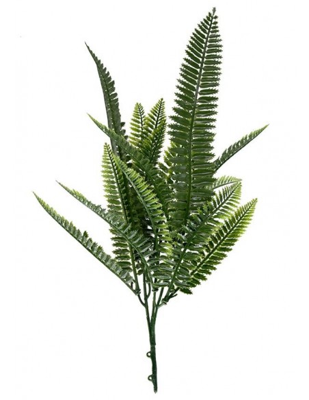 ΔΙΑΚΟΣΜΗΤΙΚΟ ΜΠΟΥΚΕΤΟ (SET 10ΤΜΧ) AMALFI W027 SPLEENWORT