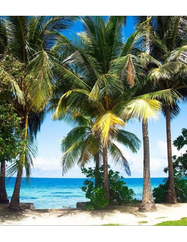 1610FTL ΣΤΟΚ Π.Χ ΦΩΤΟΤΑΠΕΤΣΑΡΙΑ Τ CREATIVE XL...