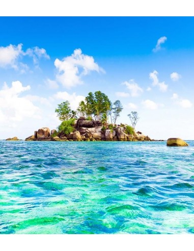 1619FTL ΣΤΟΚ Π.Χ ΦΩΤΟΤΑΠΕΤΣΑΡΙΑ Τ CREATIVE XL...