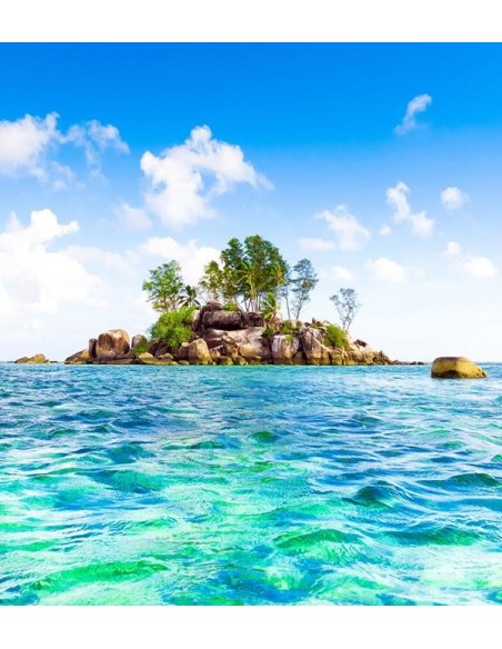 1619FTL ΣΤΟΚ Π.Χ ΦΩΤΟΤΑΠΕΤΣΑΡΙΑ Τ CREATIVE XL  A&G 180X202