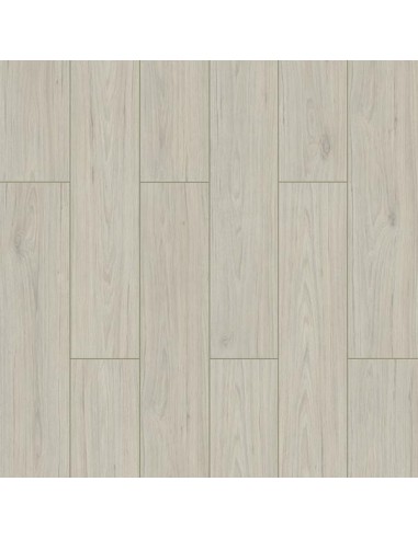 ΔΑΠΕΔΟ LAMINATE  WINGS  4V 8mm 001 FALCON