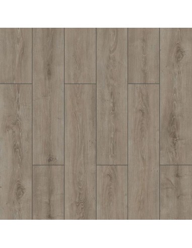 ΔΑΠΕΔΟ LAMINATE  WINGS  4V 8mm 007 PARROT