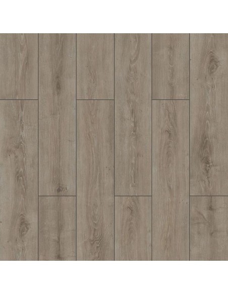 ΔΑΠΕΔΟ LAMINATE  WINGS  4V 8mm 007 PARROT