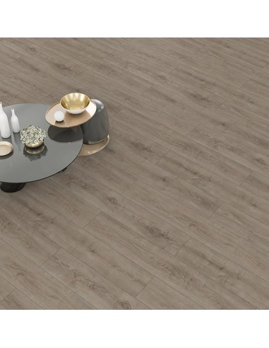 ΔΑΠΕΔΟ LAMINATE  WINGS  4V 8mm 007 PARROT