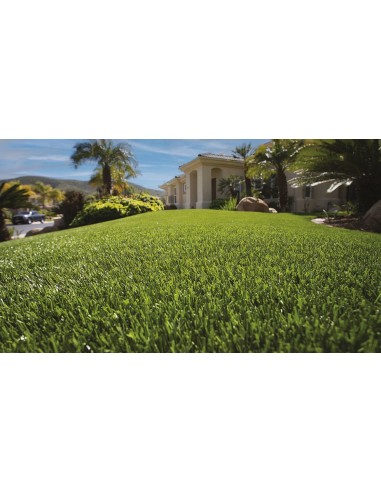 ΓΚΑΖΟΝ BILBAO 35mm  4Μ