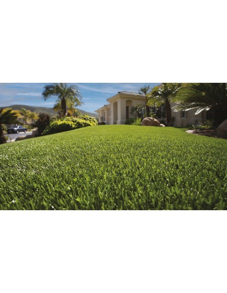 ΓΚΑΖΟΝ BILBAO 35mm  4Μ