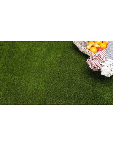 ΓΚΑΖΟΝ PALMA  14mm  4Μ