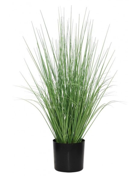 ONION GRASS TREE  NP1009_60 ΥΨΟΣ 60cm