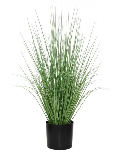 ONION GRASS TREE  NP1009_60 ΥΨΟΣ 60cm