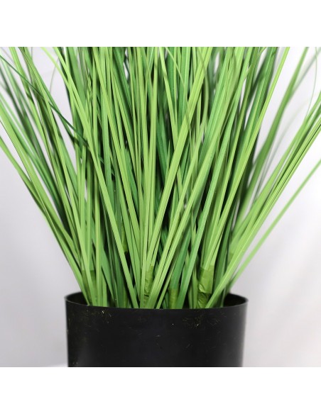 ONION GRASS TREE  NP1009_60 ΥΨΟΣ 60cm