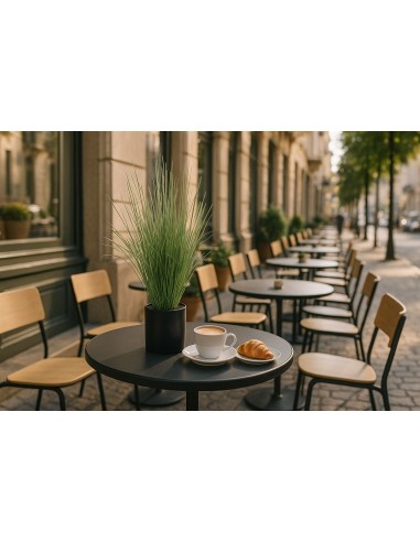 ONION GRASS TREE  NP1009_60 ΥΨΟΣ 60cm