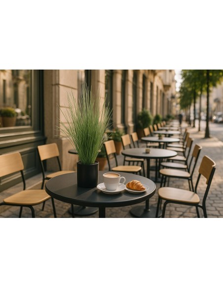 ONION GRASS TREE  NP1009_60 ΥΨΟΣ 60cm