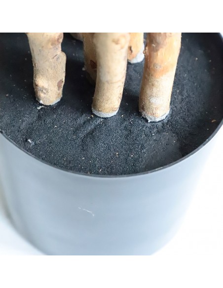 DRACAENA  NP_325_180  ΥΨΟΣ 180cm