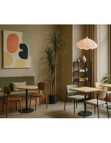 DRACAENA  NP_325_180  ΥΨΟΣ 180cm