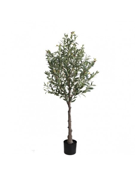 OLIVE TREE NP439_150  ΥΨΟΣ 150cm