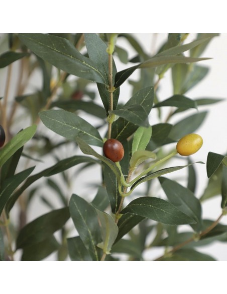 OLIVE TREE NP439_150  ΥΨΟΣ 150cm 2