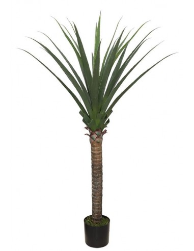AGAVE TREE  NP802_160  ΥΨΟΣ 160cm