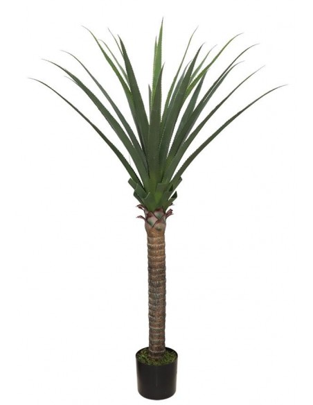 AGAVE TREE  NP802_160  ΥΨΟΣ 160cm