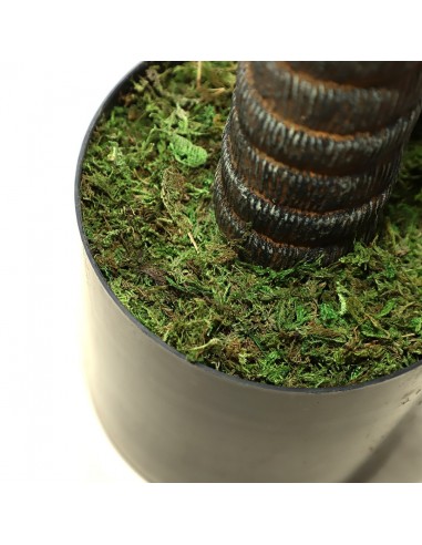 AGAVE TREE  NP802_160  ΥΨΟΣ 160cm