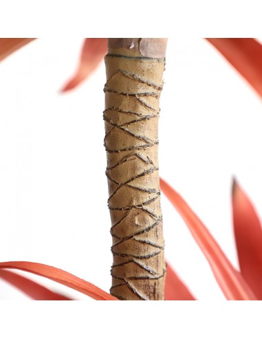 SISAL TREE  NP_811_140  ΥΨΟΣ 140cm