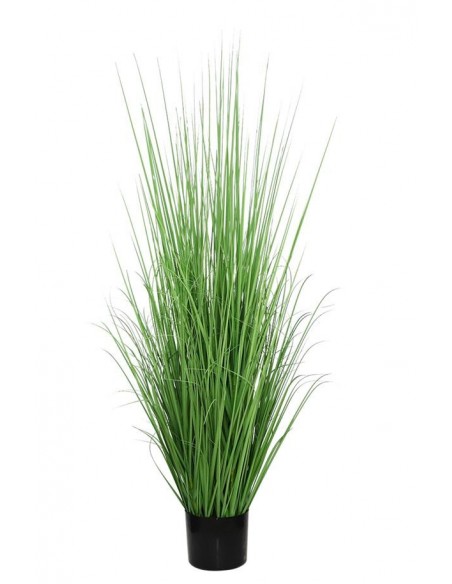 ONION GRASS TREE  NP1011_120 ΥΨΟΣ 120cm