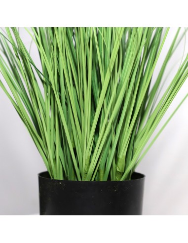 ONION GRASS TREE  NP1011_120 ΥΨΟΣ 120cm