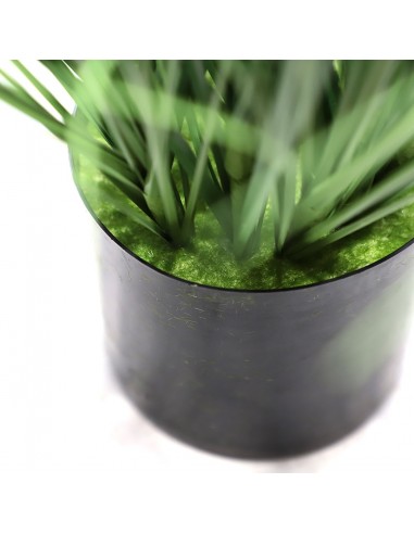 ONION GRASS TREE  NP1011_120 ΥΨΟΣ 120cm