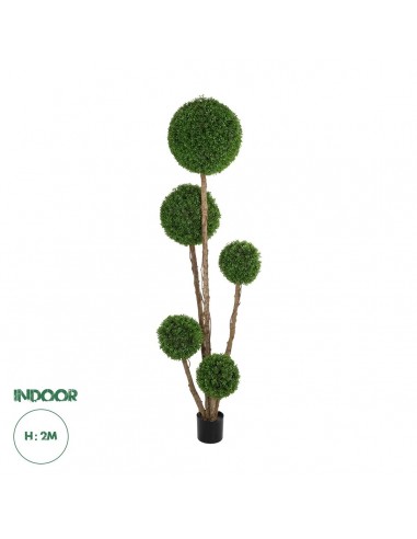 GloboStar® Artificial Garden BUXUS TREE 21111...