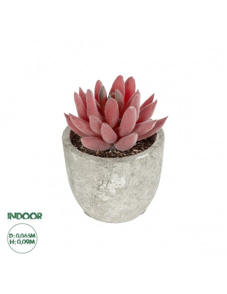 GloboStar® Artificial Garden SUCCULENT SEDEVERIA 21020...