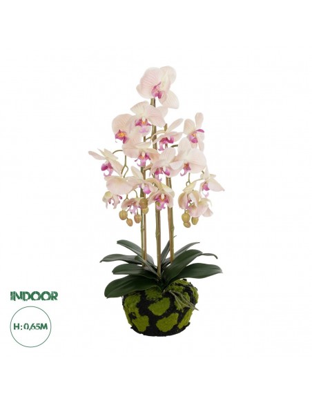 GloboStar® Artificial Garden BUTTERFLY ORCHID BONSAI...