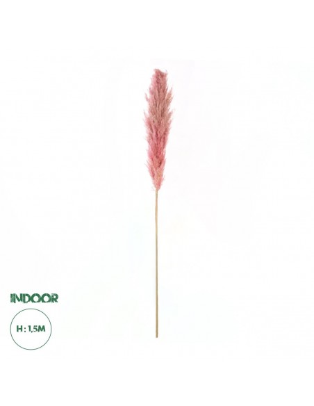 GloboStar® Artificial Garden PAMPAS GRASS 21218 Αποξηραμένο Διακοσμητικό Γρασίδι Πάμπας Μ10 x Π10 x Υ150cm