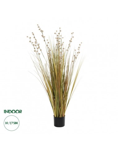 GloboStar® Artificial Garden CRASPEDIA GRASS...
